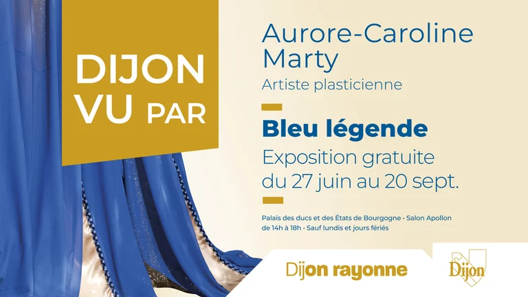À Dijon, un roi bleu transforme le palais en conte