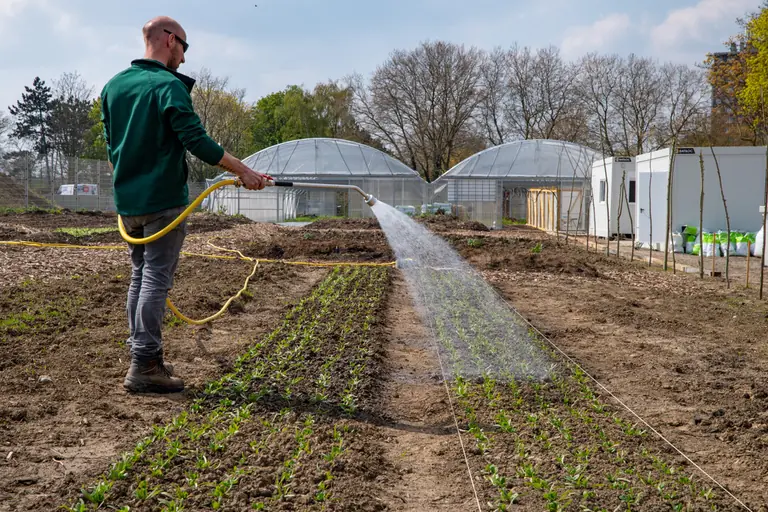 À Lille, l’eau du jardin passe sous restriction