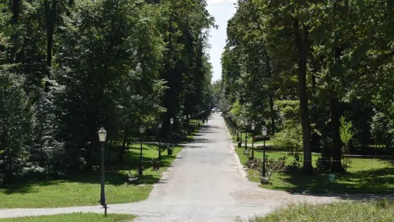 Une allée arborée dans un parc urbain avec des lampadaires classiques.