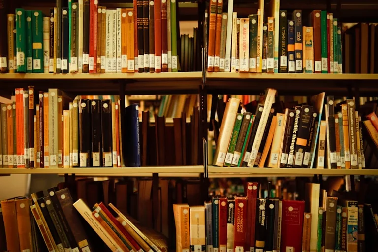 À Metz, les usagers peuvent peser sur leurs bibliothèques: ce qu'il faut retenir