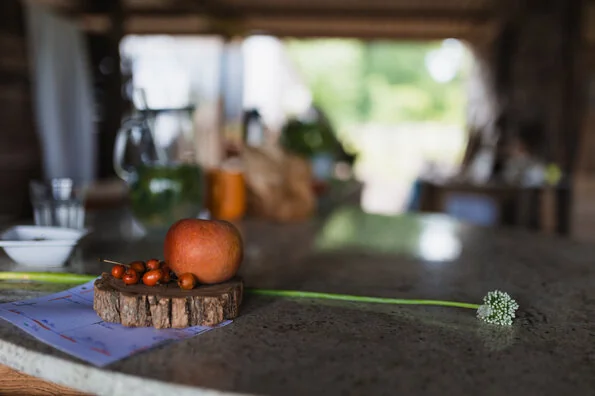 Près d’Orléans, un potager devient lieu de rencontres: ce qu'il faut retenir