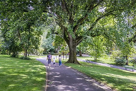 À Angers, un délai approche pour peser sur deux parcs