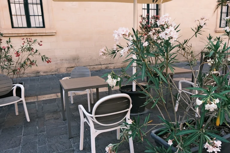 À Dinan, le Café sophro offre une pause à 1 €
