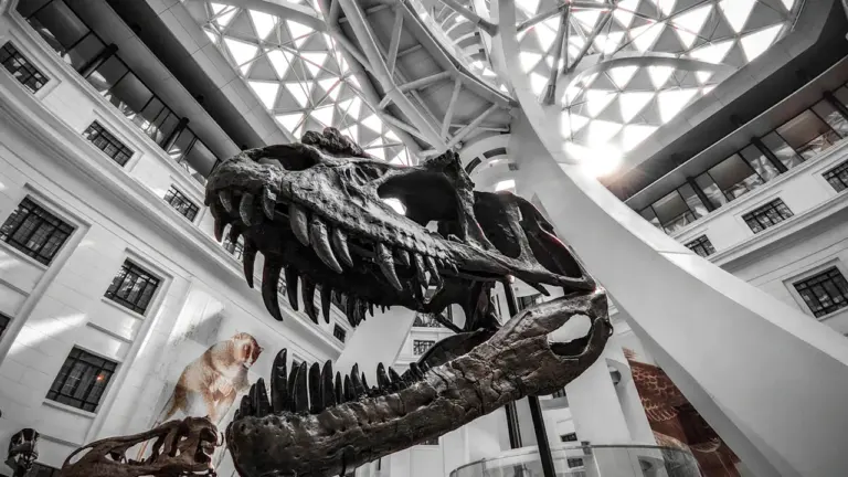 Squelette de dinosaure impressionnant sous une verrière dans un musée.