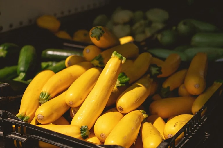 Braderie d’été à Graulhet : chiner solidaire le 18 juillet