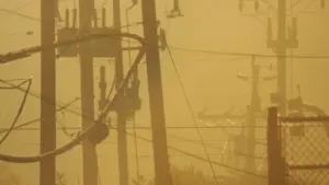 Lignes électriques suspendues au-dessus d'une rue déserte lors d'une matinée brumeuse.