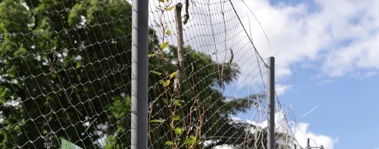 Ex(s)istere à Saint-Étienne : 14 plantes en accès libre: l'impact pour les habitants