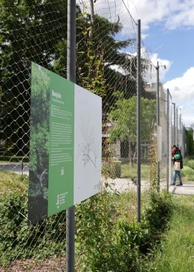 Ex(s)istere à Saint-Étienne : 14 plantes en accès libre: l'impact pour les habitants