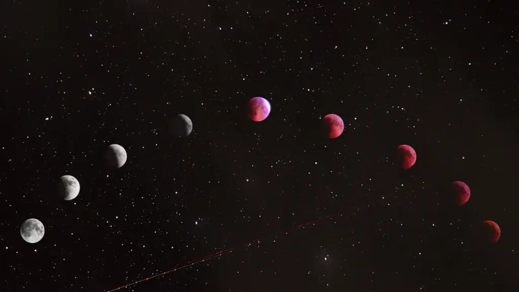 Une illustration montrant les différentes phases d'une éclipse lunaire sur un ciel étoilé.