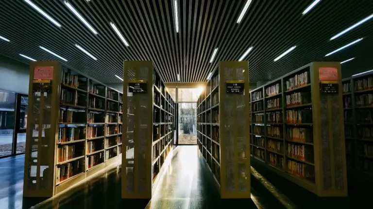 À Saint-Dizier, livres et films viennent jusqu’à vous