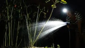 Une femme avec une lampe frontale arrose ses tomates dans le jardin la nuit.