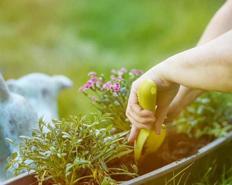 Bout’choux à Grenoble : 4 matins gratuits au jardin