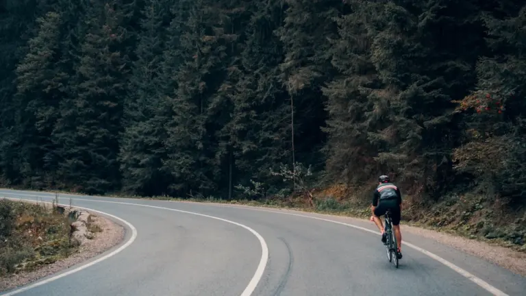 Un cycliste solitaire pédale sur une route sinueuse bordée de grands arbres forestiers