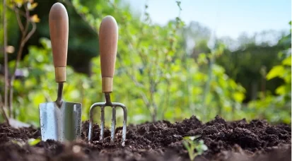Grand Quevilly : « Zoom sur les aromates » gratuit le 17 août