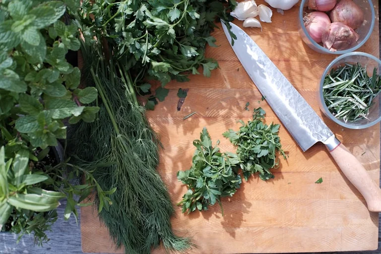 Grand Quevilly : « Zoom sur les aromates » gratuit le 17 août