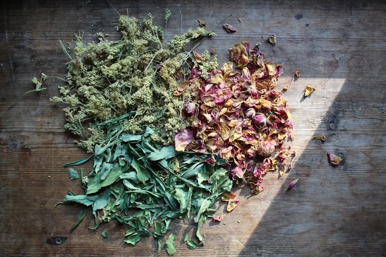 Grand Quevilly : « Zoom sur les aromates » gratuit le 17 août
