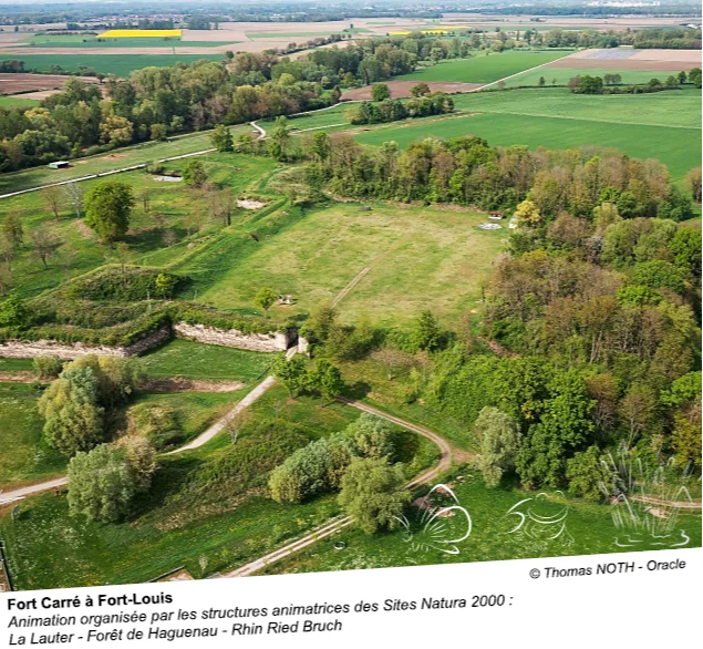 Haguenau : « La Nature à l’assaut du fort » gratuit à Fort-Louis