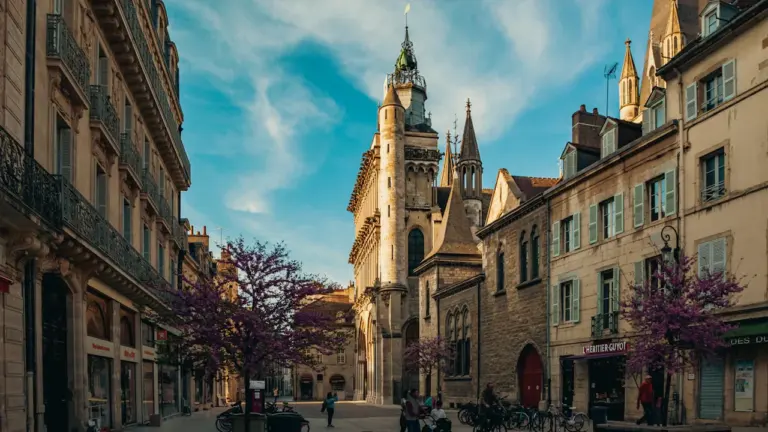 Vue d'une rue historique d'Orléans avec la cathédrale en arrière-plan.