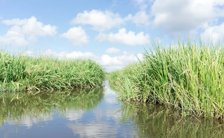 Une balade sur la Loire à Orléans : infos pratiques pour votre sortie