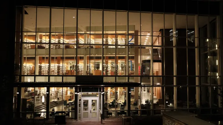 Nuits des bibliothèques à Lille : trois jours gratuits
