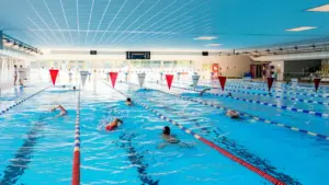 Plusieurs nageurs s'entraînent dans les lignes d'une piscine intérieure lumineuse aux drapeaux suspendus.
